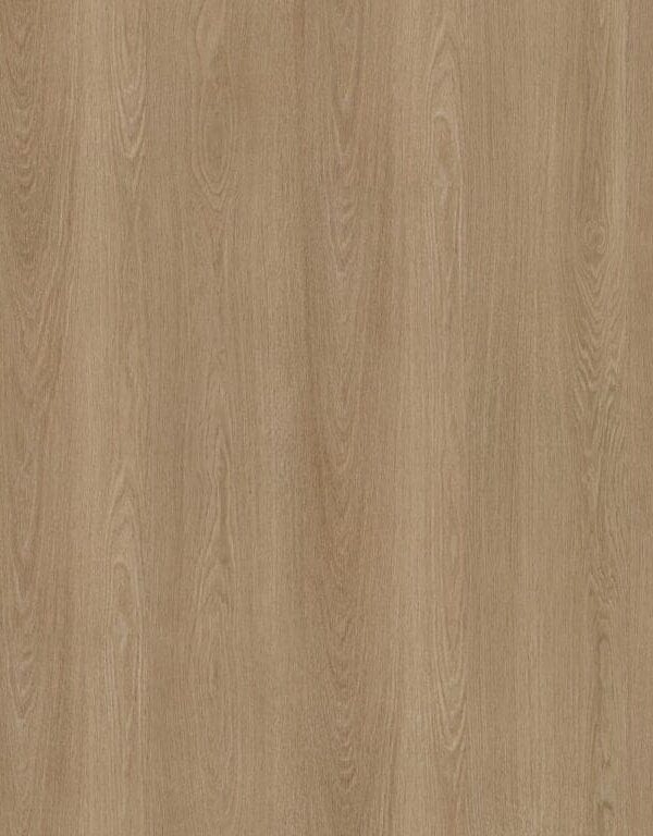 Ambiant Soleno dryback warm oak