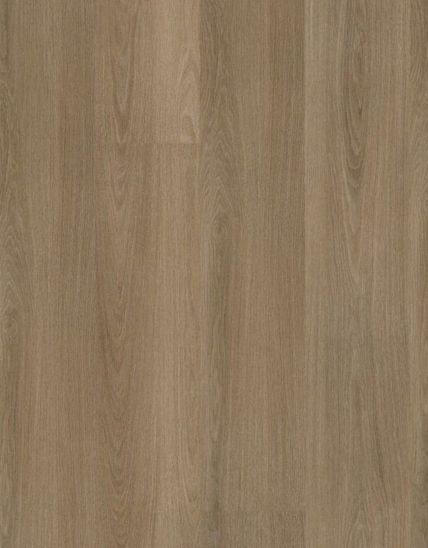 Ambiant Soleno dryback dark oak