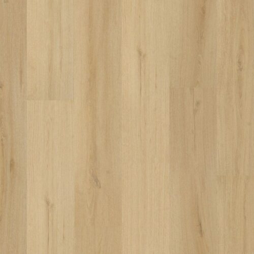6070101019_main_image