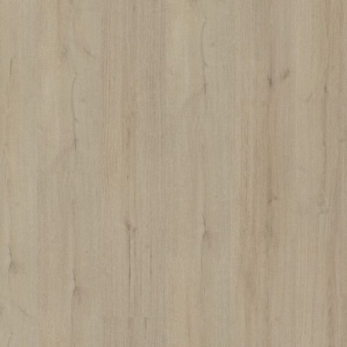 6070101219_main_image