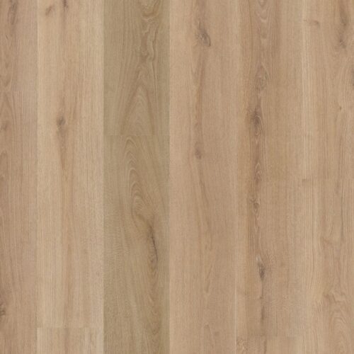 6070101319_main_image