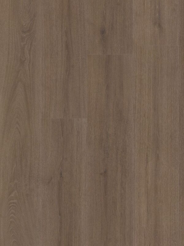 Ambiant Valento dryback brown