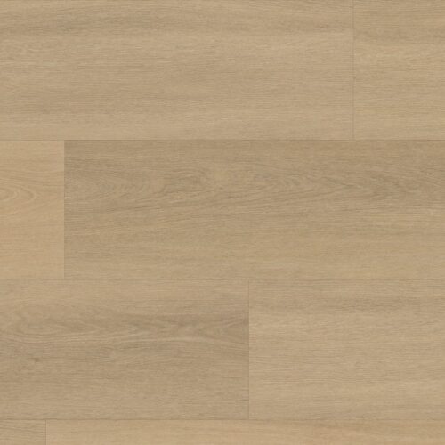 9040650419_main_image