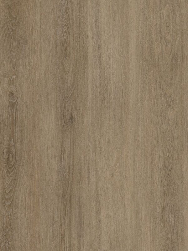 Ambiant Viranto dryback smoky