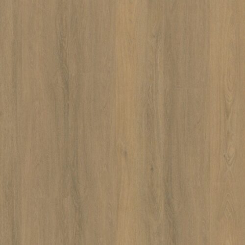 9042750319_main_image