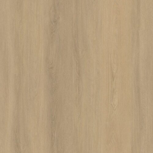 9042750419_main_image