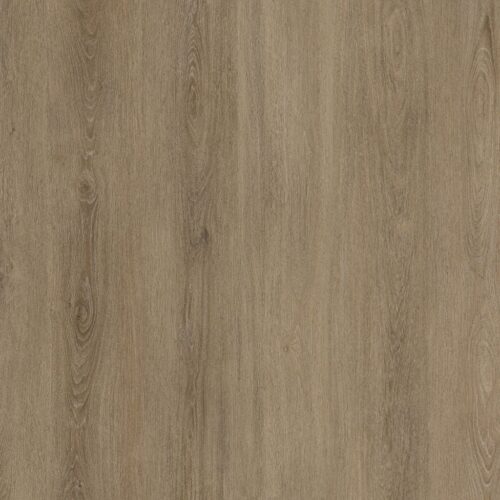 9042750519_main_image