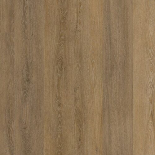 9042750619_main_image