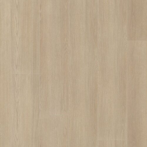 5031901519_main_image