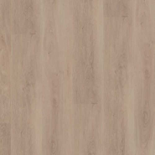5035026219_main_image