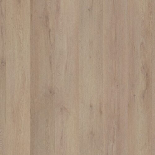 5036028219_main_image