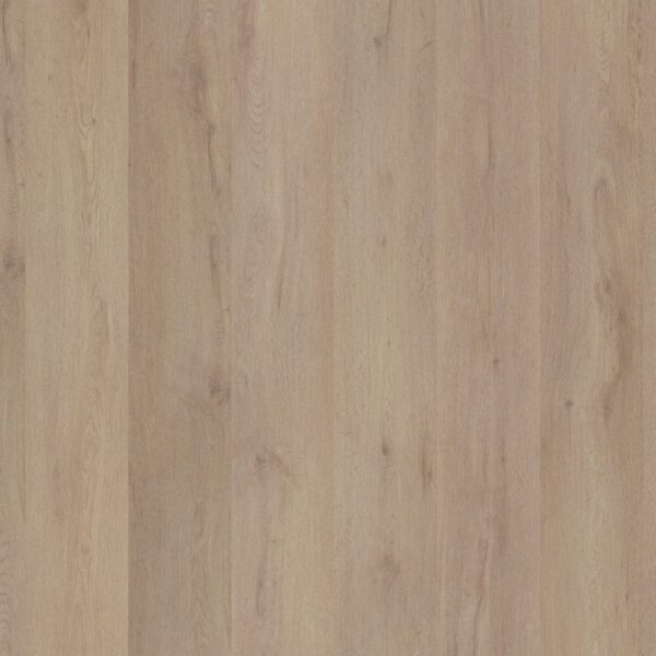 5036028219_main_image