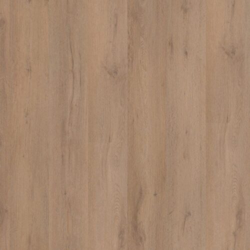 5036029219_main_image