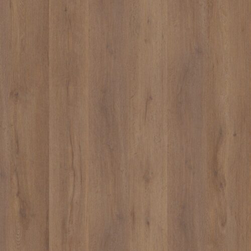 5036030219_main_image