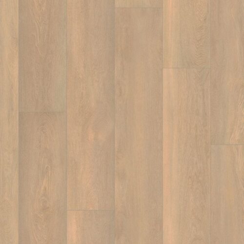 5037811019_main_image