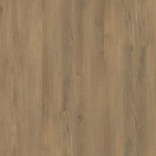 5046896619_main_image