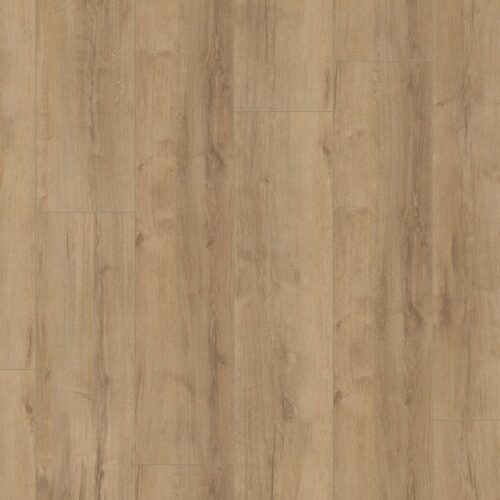 5058461619_main_image
