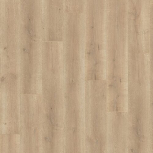 5325640019_main_image