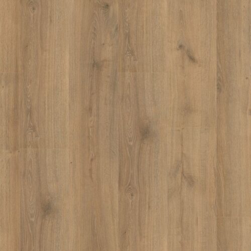 5525400419_main_image
