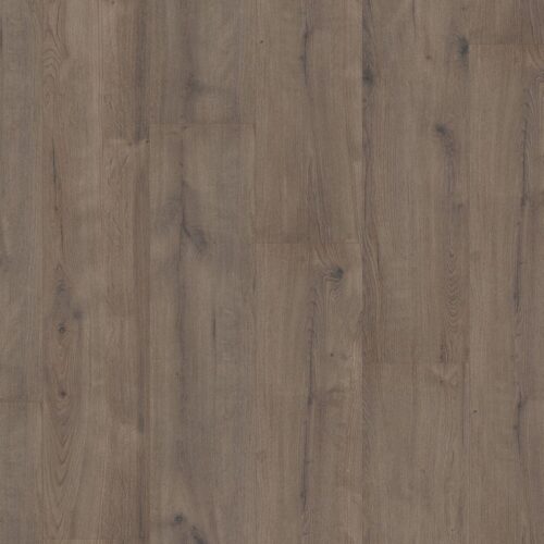 5525402419_main_image