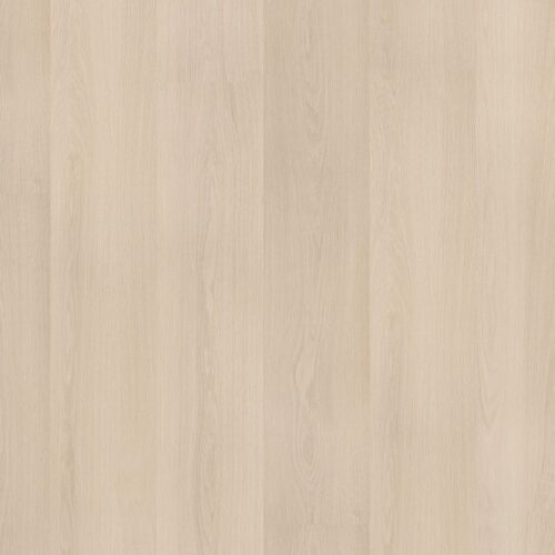 6051200119_main_image