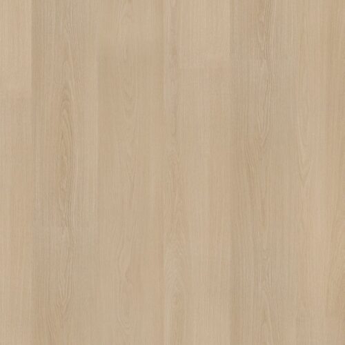 6051200219_main_image