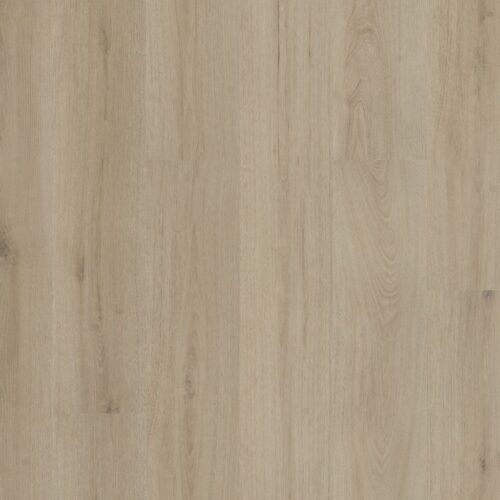 6071201219_main_image