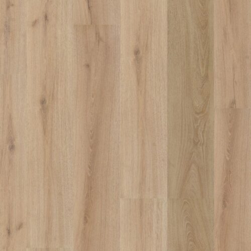 6071201319_main_image