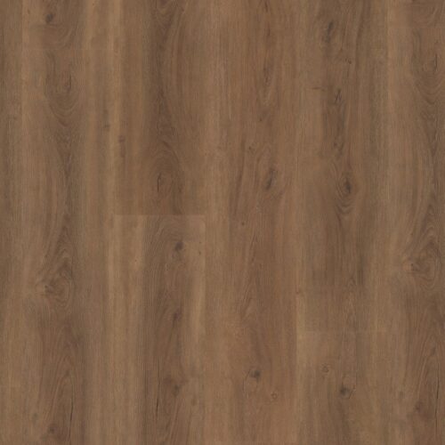 9085153219_main_image