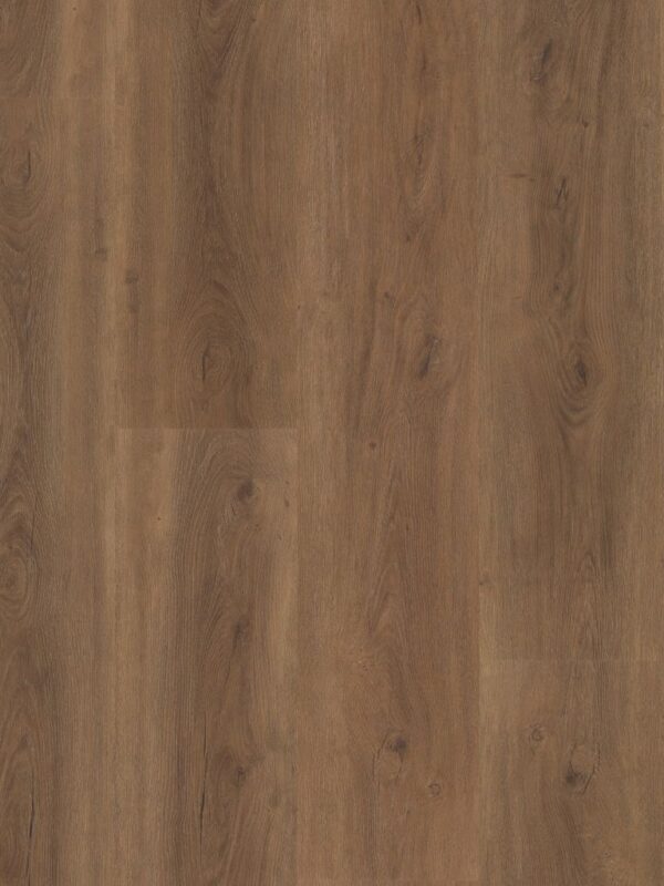 Ambiant Robusto dryback warm brown