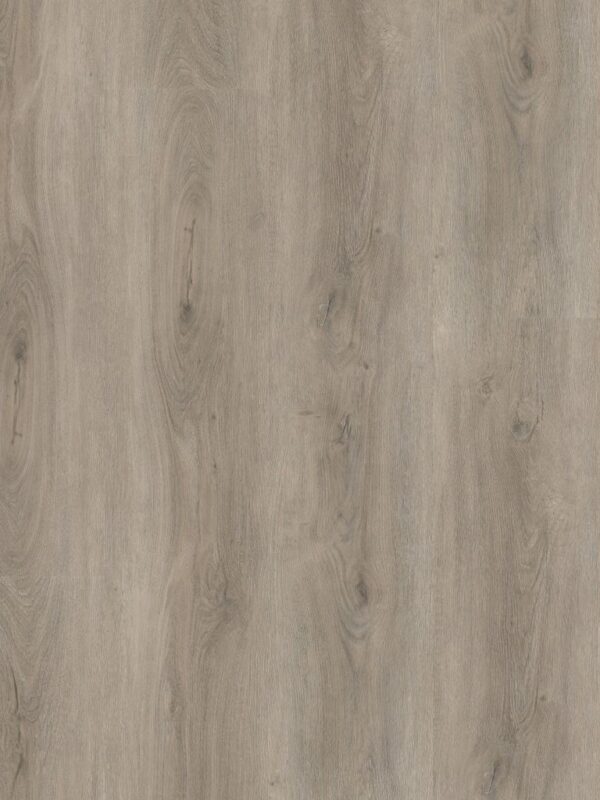 Ambiant Robusto dryback light grey