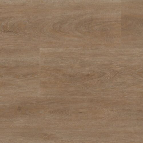9085155719_main_image