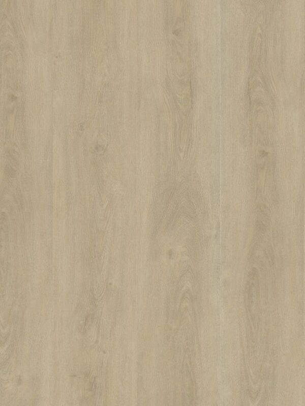 Ambiant Robusto dryback light natural