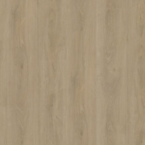 9085155919_main_image