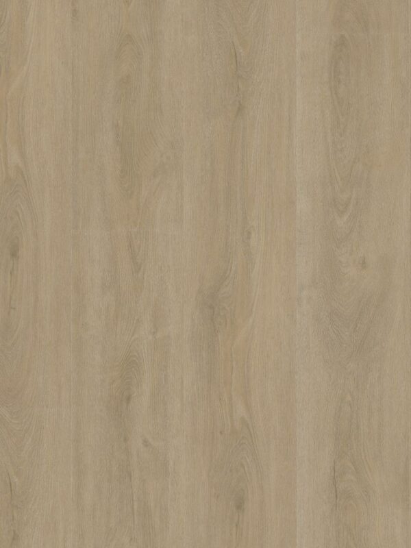 Ambiant Robusto dryback beige
